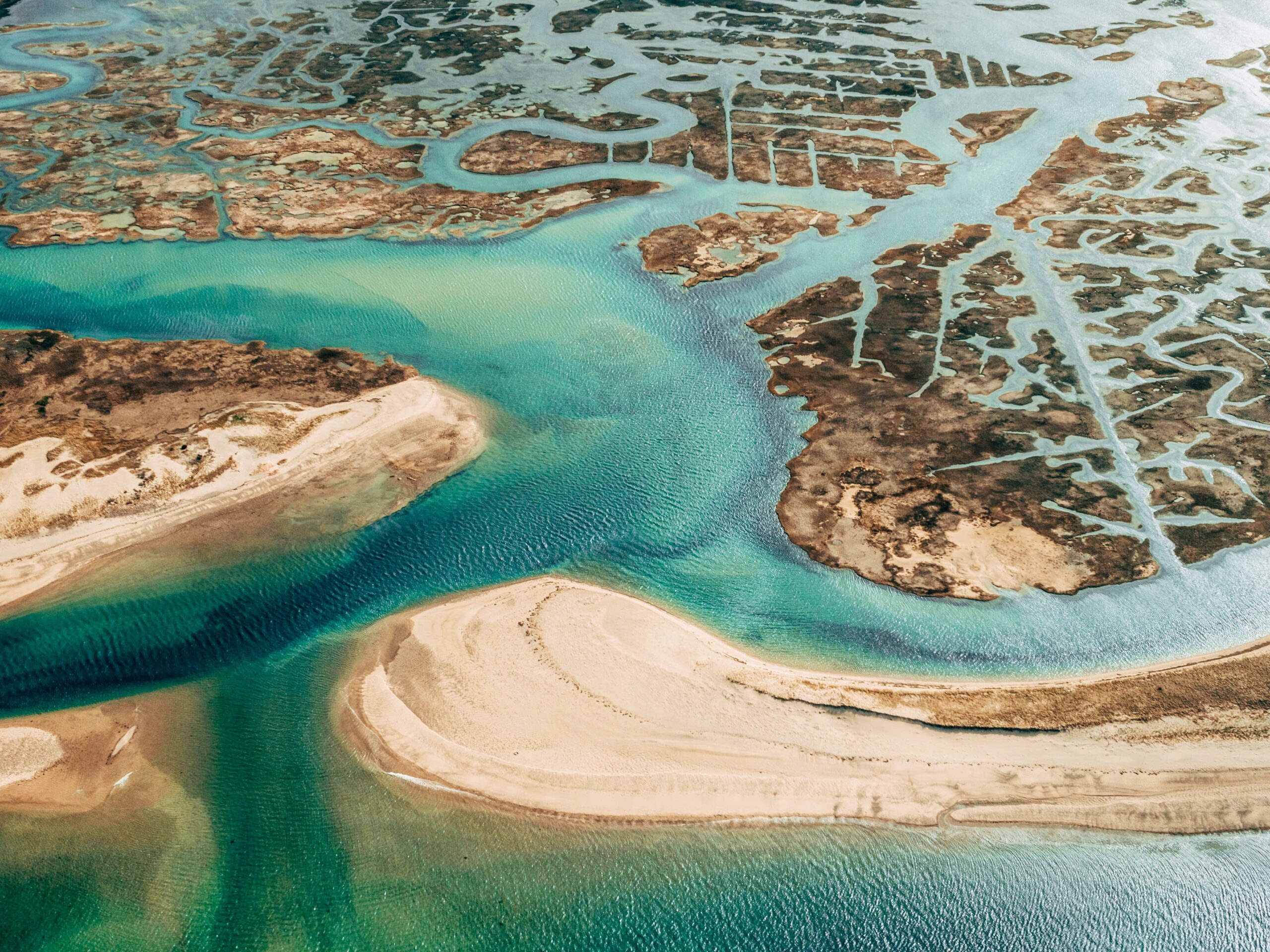the coastline of Cape Cod